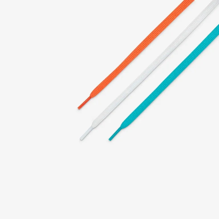 Concepts x SB Dunk Low Orange Lobster