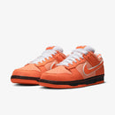 Concepts x SB Dunk Low Orange Lobster