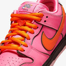 The Powerpuff Girls x SB Dunk Low Blossom